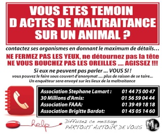 Temoin d'une maltraitance animale ? 29519411