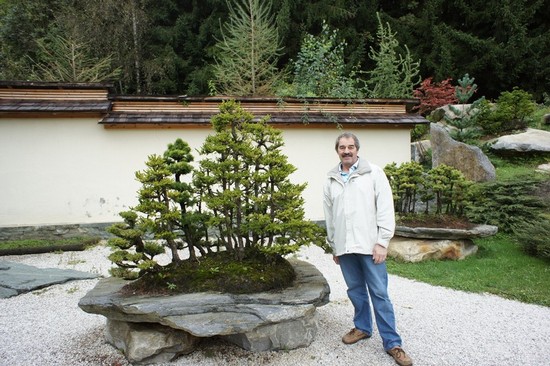 Bonsai Museum, Austria  Dsc02411