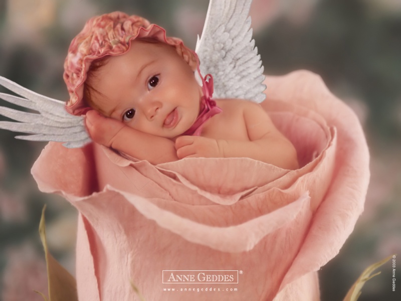 montage photo bébé ange pour faire part mariage Anne_g13