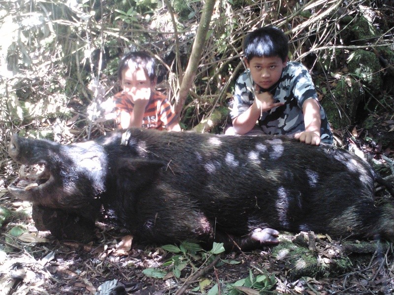 big boar to day with my boy Img58310