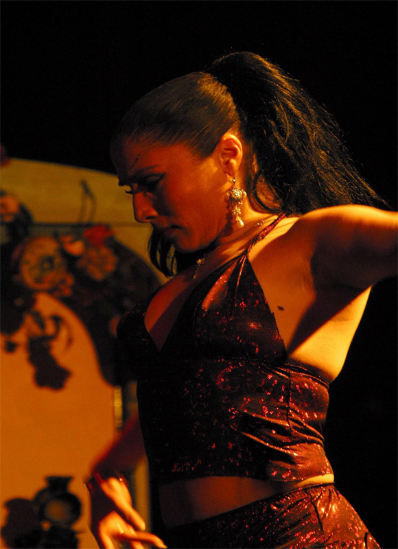 histoire du flamenco ,origines complexes 810