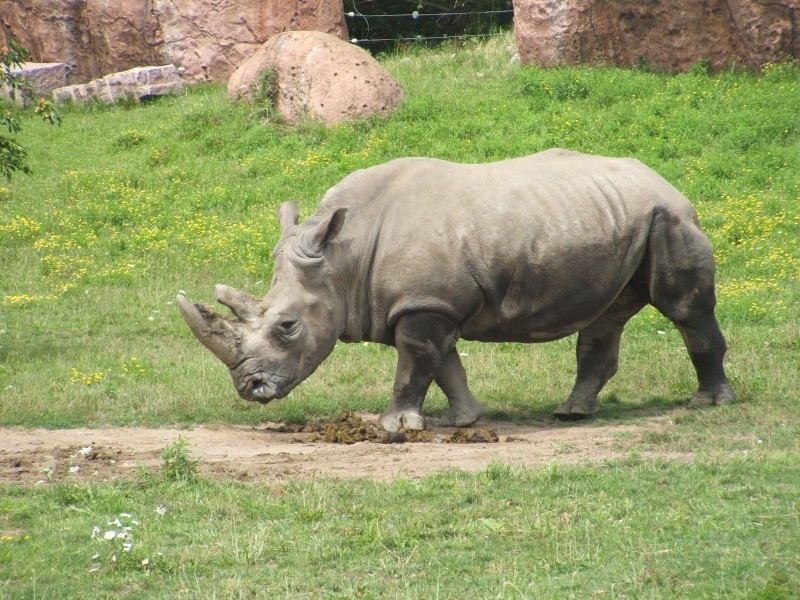 Zoo de Toronto Zoo_de12