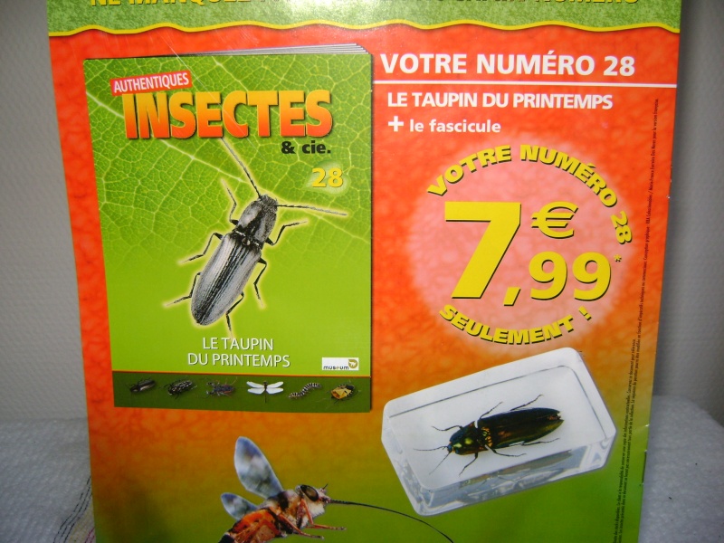 Nous faisons la collection des insectes géants et vous ? - Page 4 Dsc06630