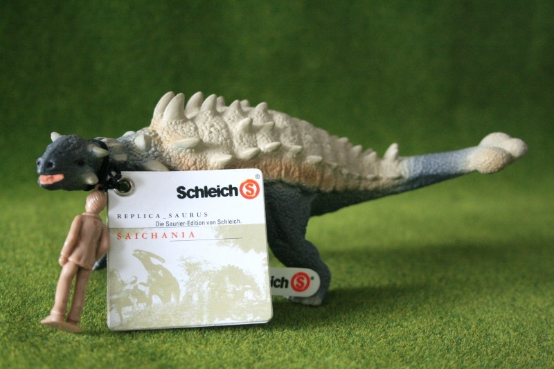 My Recent Schleich Retired Figures - Page 2 Saicha13