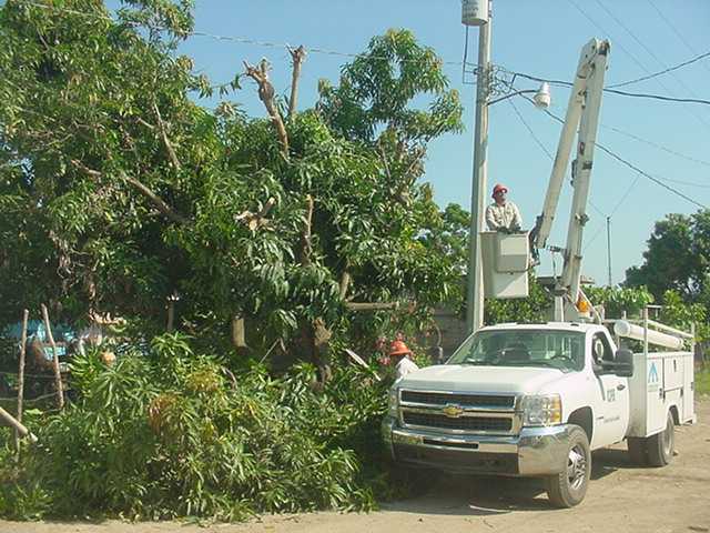 Strong wind damage Tree-t10