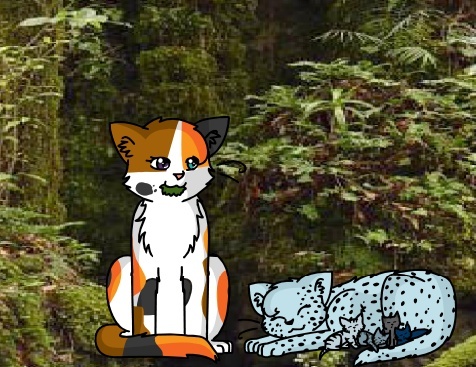 warriorcats.com Name Generator Misty_11