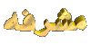 المشرفة العامة المشرفة العامة