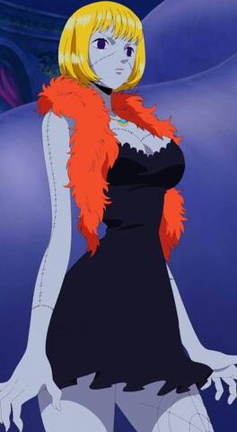 Gecko Moria Piratenbande