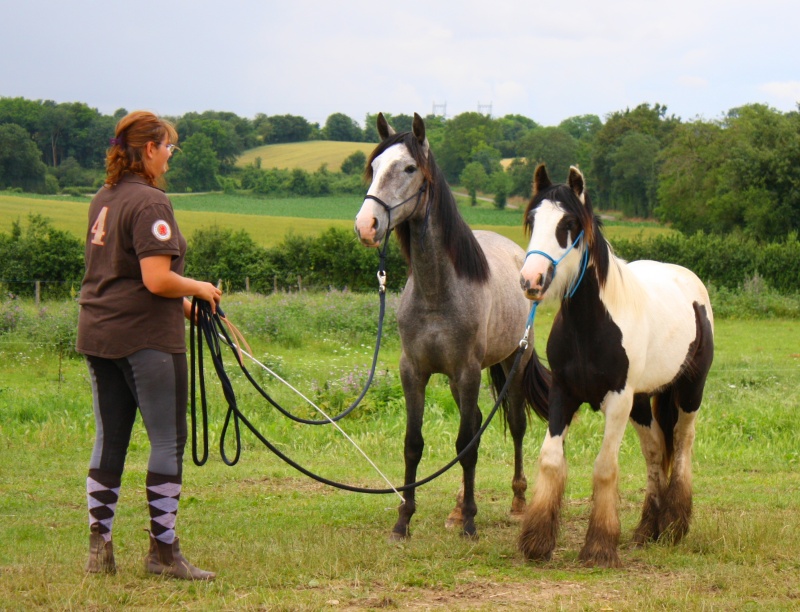 natural horsemanship Img_9710