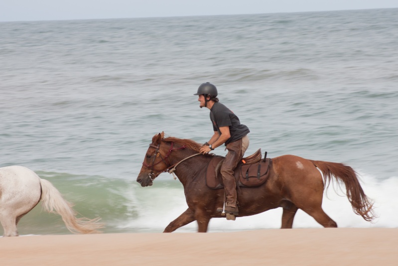 La plage a cheval <3  La_pla14