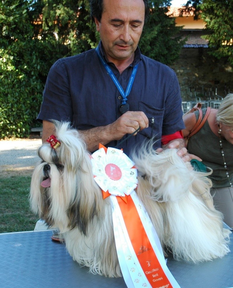 XIII ESPOSIZIONE NAZIONALE CANINA DEL CANAVESE(Castello di Masino TO)16/09/2012 1-dsc_47