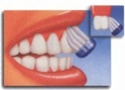 طريقة استخدام فرشاة الأسنان  39ae5c10