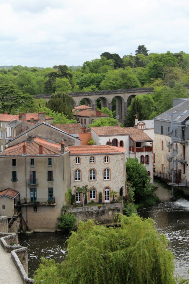 Clisson (Loire-Atlantique / 44). Img_4015