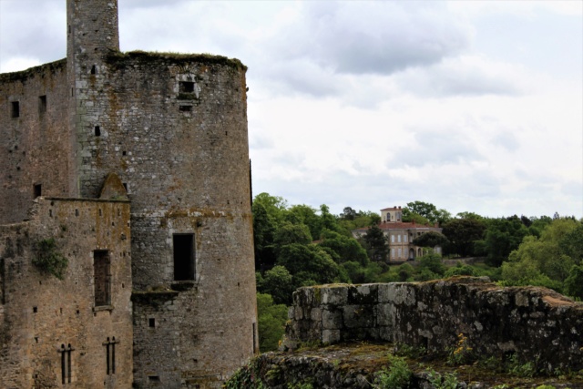 Clisson (Loire-Atlantique / 44). Img_4025