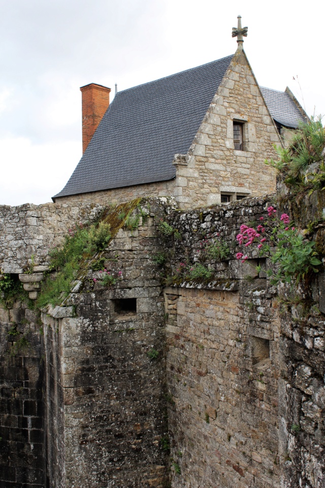 Clisson (Loire-Atlantique / 44). Img_4027