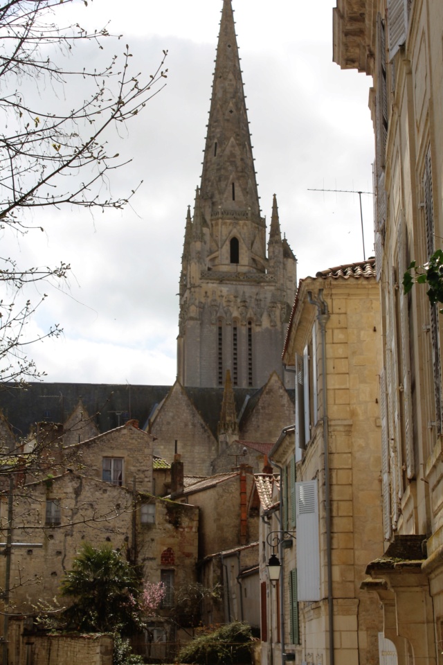 Fontenay-le-Comte / Vendée, 85. Img_5834