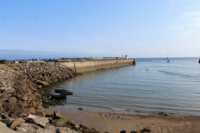 Île d'Yeu (Vendée -85). Img_6211