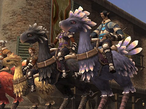 Guide de l'levage de Chocobo ! Chocob10