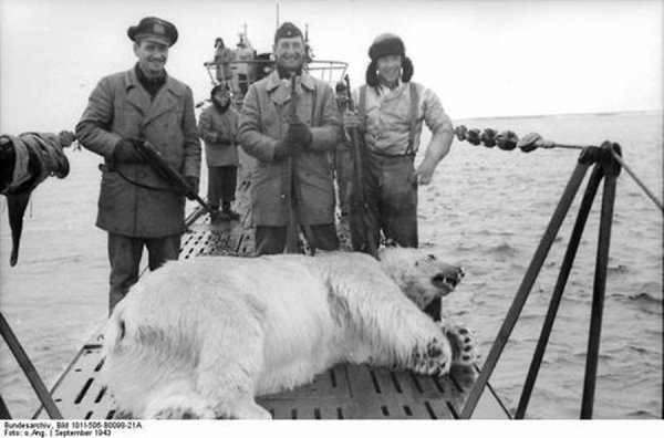 photo insolite de la seconde guerre mondiale Ours10