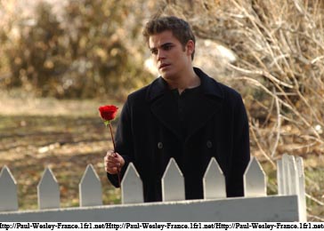 Stills - Everwood Sans_t27