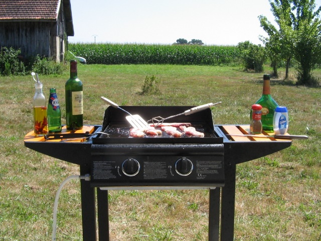camping à "la ferme" dans le sud ouest cet été - Page 3 Grilla10