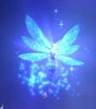 Genie Fairy311