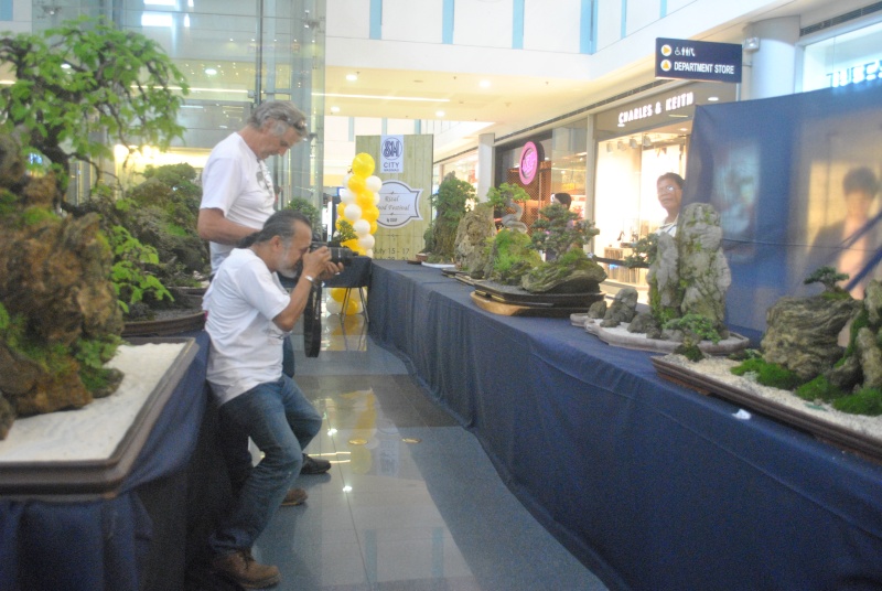 Penjing show Dsc_0210