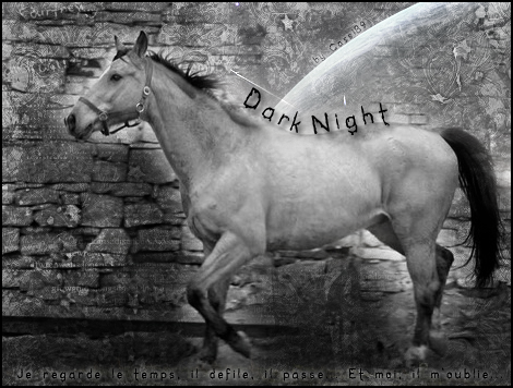 Dark Night Darkni10