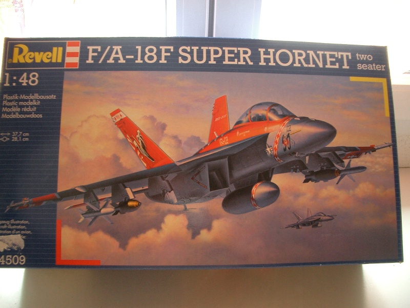 [Revell] 1/48 - Boeing F-18F Super Hornet   Cimg7316