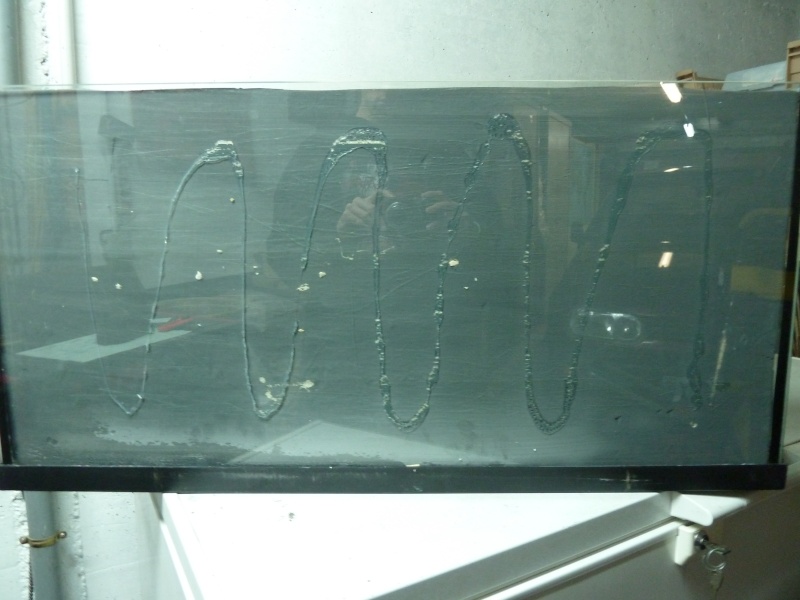 Bac de 1OO litres avec décors de fond P1010522