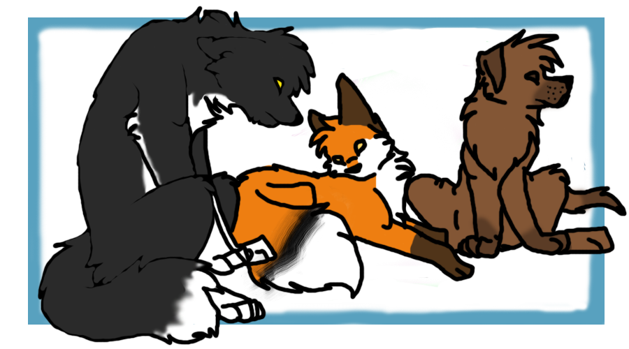 Canin Fight