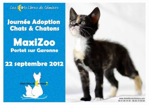 Journée adoption le samedi 22/09 à Maxi Zoo - Portet