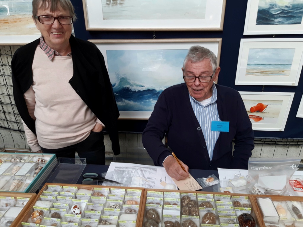 Bourse dans le Morbihan 56000 à Vannes, les 26 & 27 oct. 2019 - Page 3 Bourse16