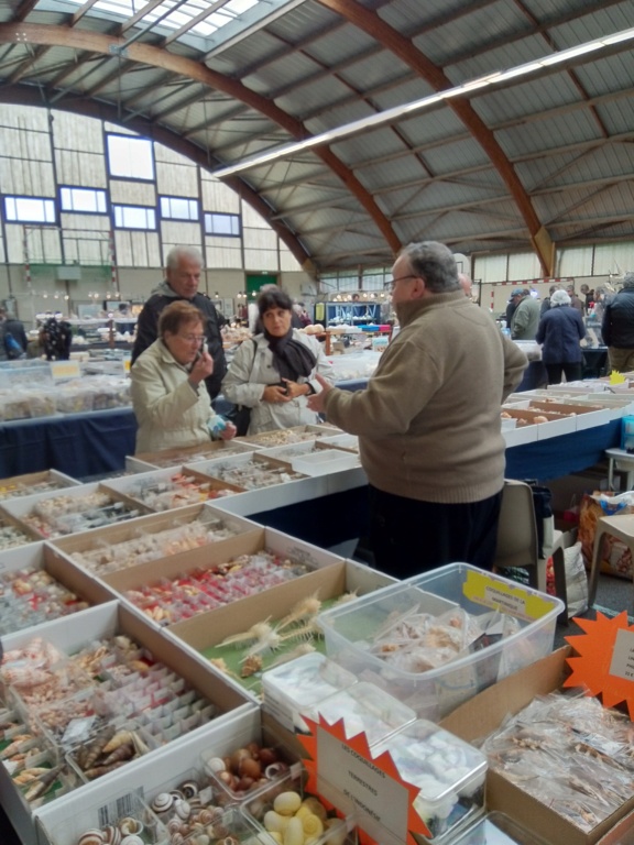 Bourse dans le Morbihan 56000 à Vannes, les 26 & 27 oct. 2019 - Page 3 Img_2014