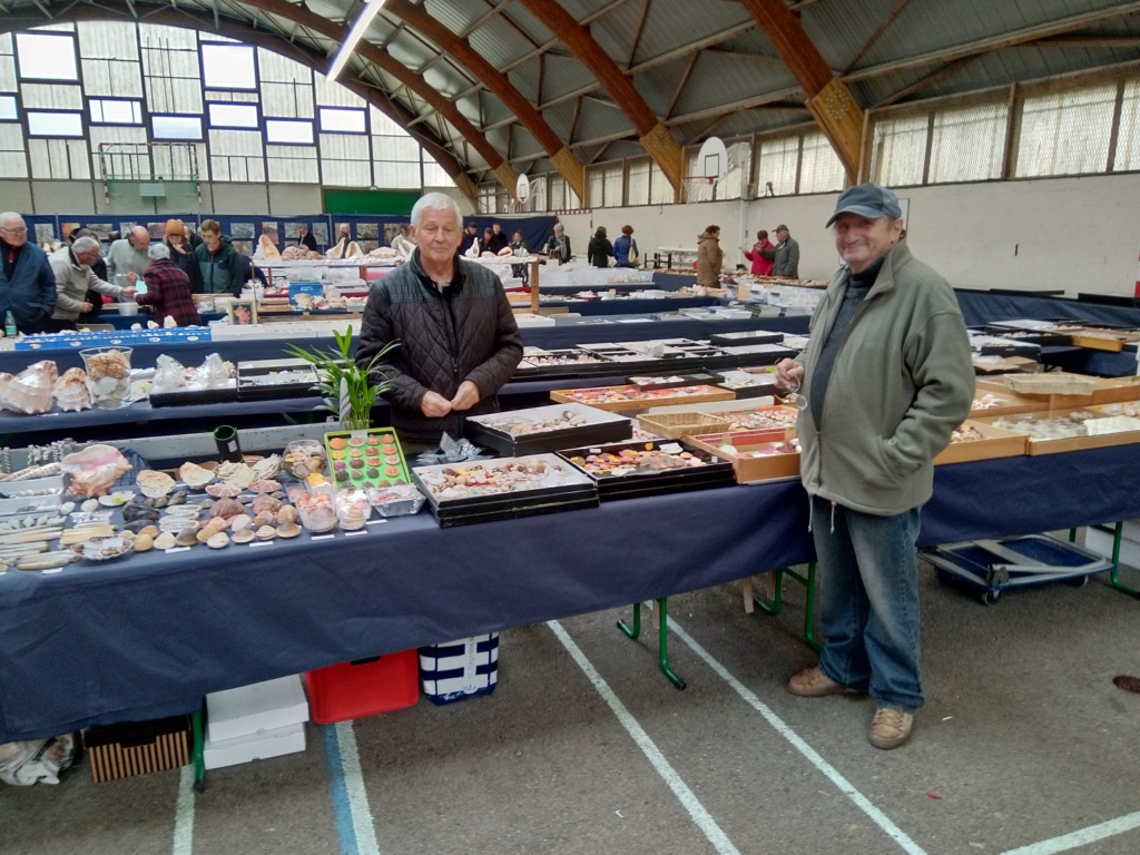 Bourse dans le Morbihan 56000 à Vannes, les 26 & 27 oct. 2019 - Page 3 Img_2016