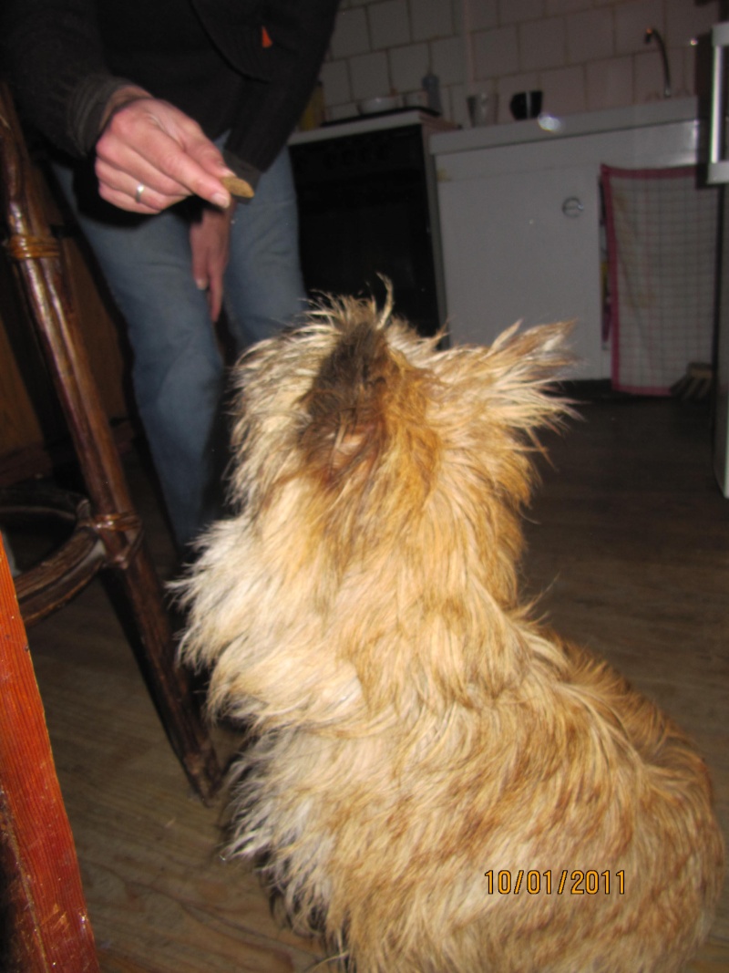 Ratus, des nouvelles Img_4811