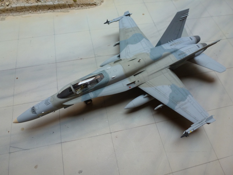 [Academy] FA 18 C  Hornet - Koweit AF   01411