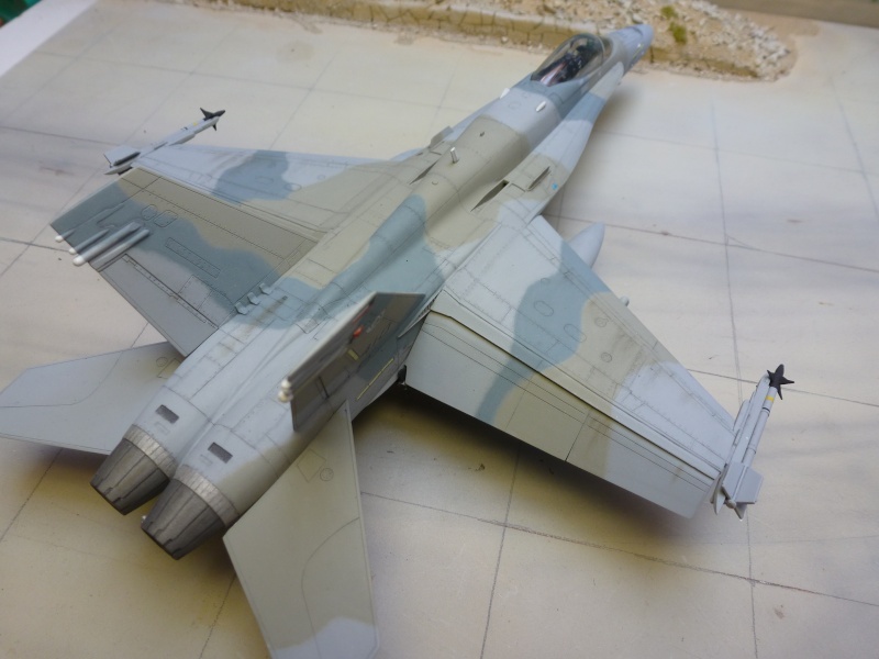 [Academy] FA 18 C  Hornet - Koweit AF   03511