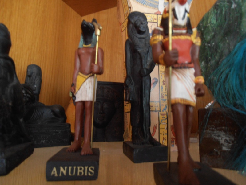 "Nefera" ... et le mini-musée égyptien d'Isabelle 00510