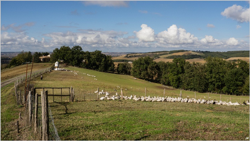 Entre Lomagne et Gers Lr4-p106