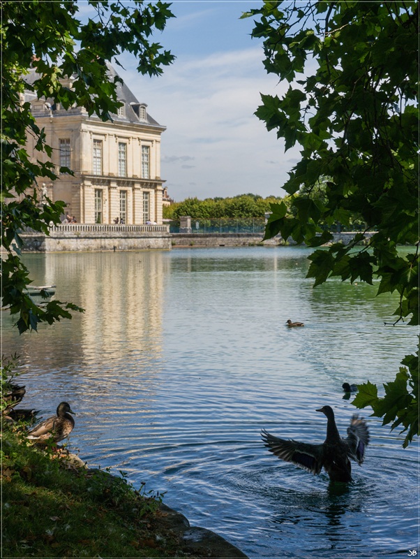 Fontainebleau : le parc Lr4-p141