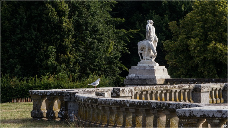 Fontainebleau : le parc Lr4-p142