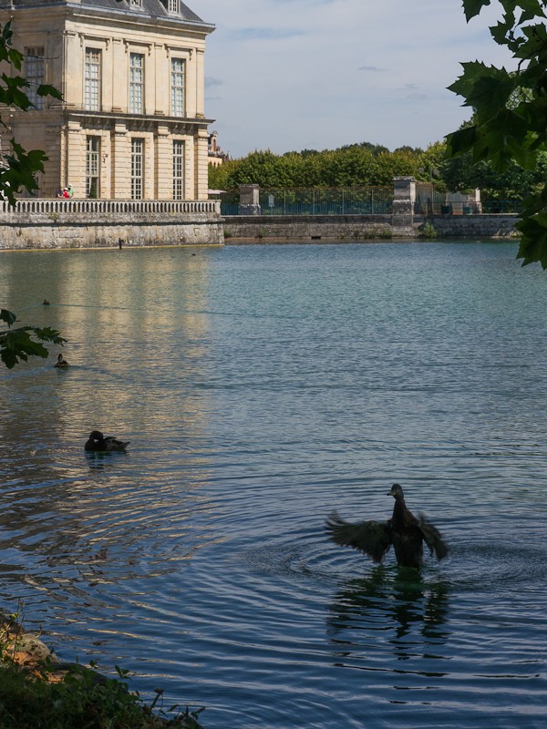 Fontainebleau : le parc Lr4-p146