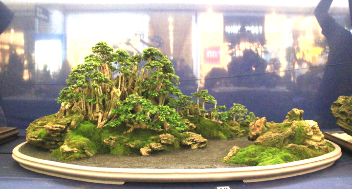 Penjing show - Page 2 _mg_2211