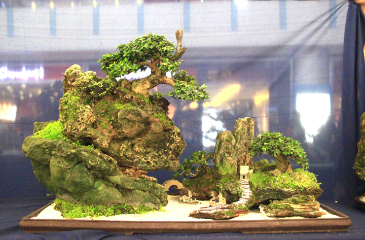 Penjing show - Page 2 _mg_2214