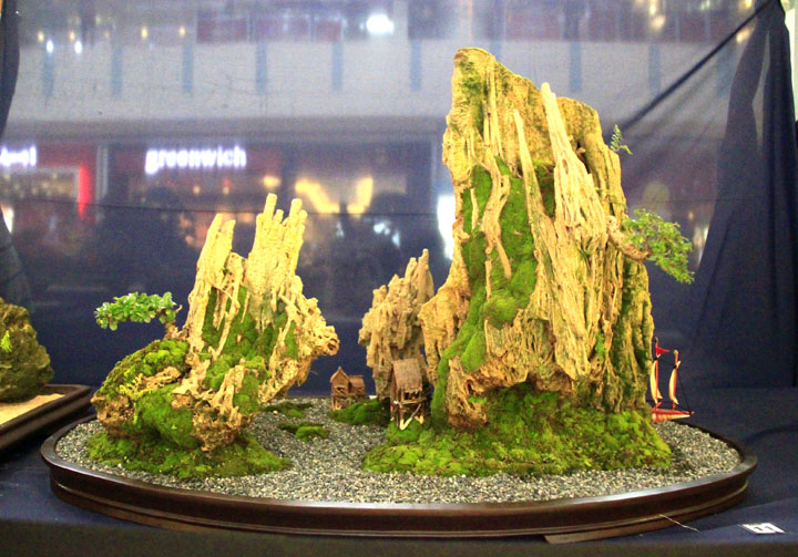 Penjing show - Page 2 _mg_2310