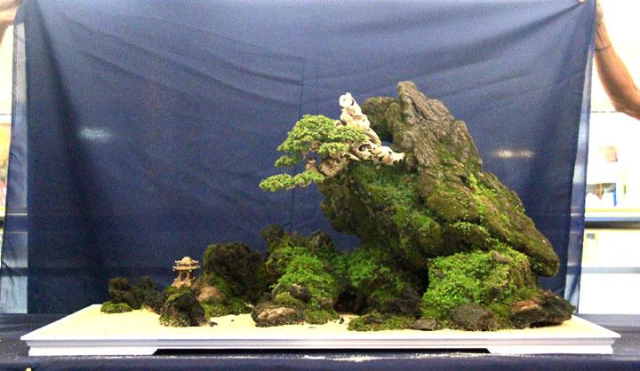 Penjing show - Page 2 _mg_2326