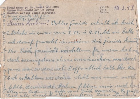 Wehrpass/Diplômes Stabsgefreiter B. BORGHOLD 1./NA 222 NORVEGE BALKANS 1943-49 3k10