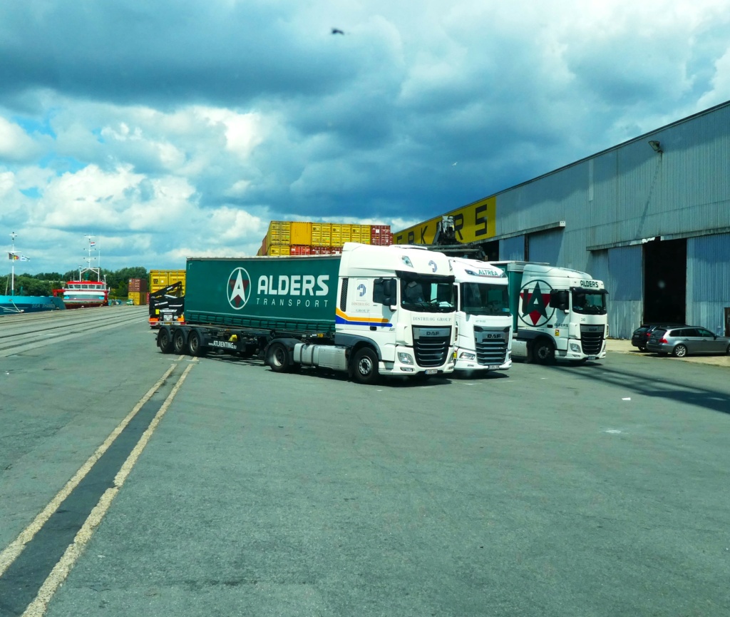  Alders - Altrea Logistics (Overpelt) - Page 2 P1000573
