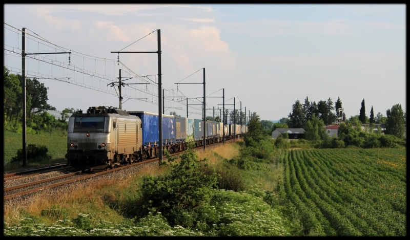 Photos et vidéos de la ligne Bordeaux - Toulouse - Narbonne - Sète (Fil 2) - Page 19 Img_8815